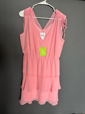 Sam Edelman Soft Pink Chiffon Dress